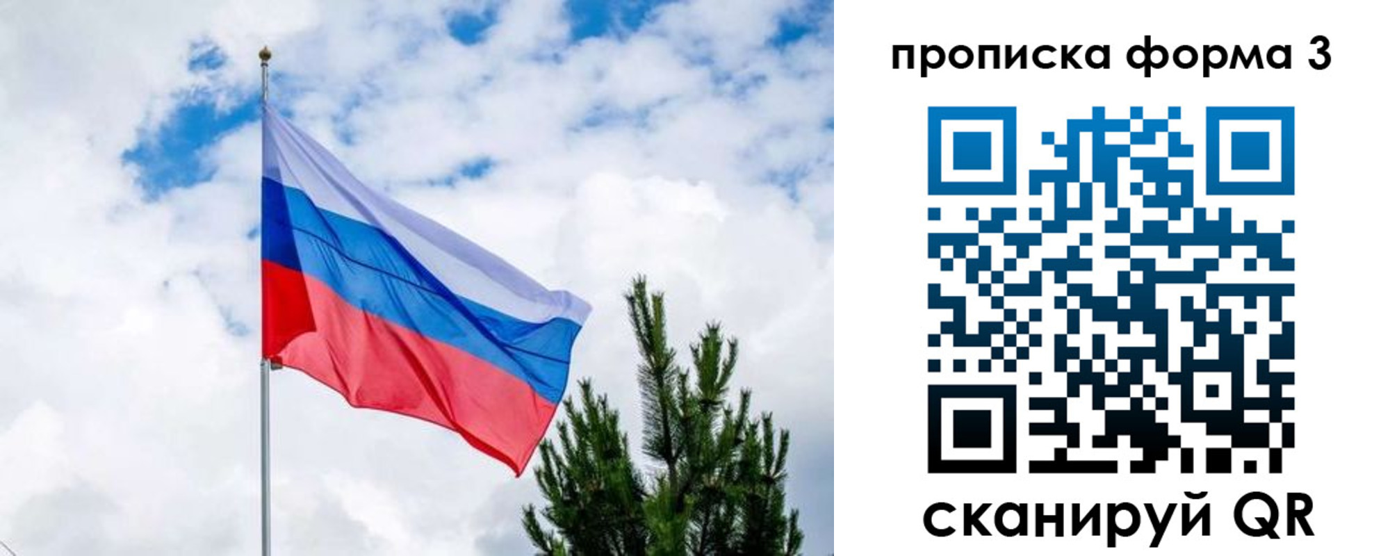 прописка для школы в Кашине